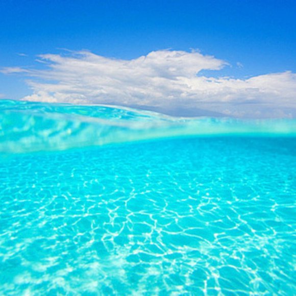 Meet your Posher, Tasharia - Picture 2 of 3